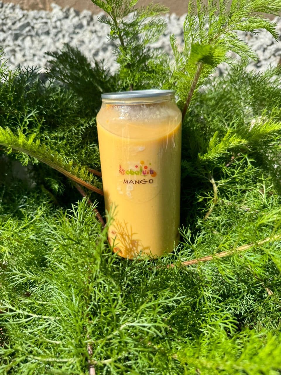 Mango Milk